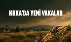 Kene Alarmında 22 Kişi Hayatını Kaybetti İddiası