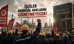 Birleşik Metal-İş’ten 15 Günlük Yasağa Tepki