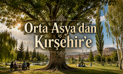 Türk Kültürünün Sessiz Sembolleri Kırşehir'in Her Yerinde
