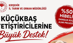 Kırşehir’de Hayvancılığa Yüzde 50 Hibe Desteği: Başvurular Başladı