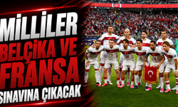 A Millî Takım'ın kasım ayı programı belli oldu