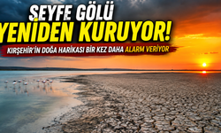 Seyfe Gölü Yeniden Kuruyor! Kırşehir’in Doğa Harikası Bir Kez Daha Alarm Veriyor