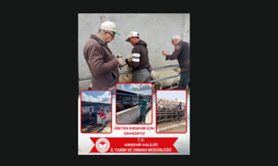 Kırşehir’de Hayvan Sağlığı İçin Saha Çalışmaları Sürüyor