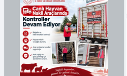 Kırşehir’de Canlı Hayvan Nakil Araçları Mercek Altında