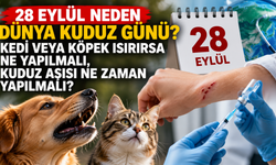 28 Eylül Neden Dünya Kuduz Günü? Kedi veya Köpek Isırırsa Ne Yapılmalı, Kuduz Aşısı Ne Zaman Yapılmalı?