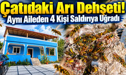 Çatıdaki Arı Dehşeti! Aynı Aileden 4 Kişi Saldırıya Uğradı