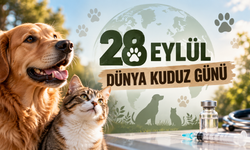 Kırşehir’de Kedi veya Köpek Isırırsa Nereye Başvurulur, İlk Müdahale Nasıl Yapılır?