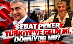 Sedat Peker Türkiye’ye Geldi mi, Dönüyor mu? MHP’li İsimden Dikkat Çeken Açıklama