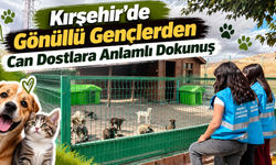 Kırşehir’de Gönüllü Gençlerden Can Dostlara Anlamlı Dokunuş