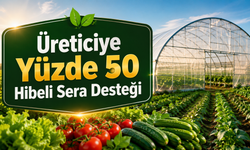 Kırşehir’de Üreticiye Yüzde 50 Hibeli Sera Desteği