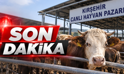 Kırşehir’de Canlı Hayvan Pazarı Geçici Olarak Kapatıldı