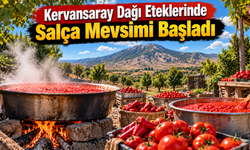 Kervansaray Dağı Eteklerinde Salça Mevsimi Başladı