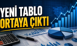 TÜİK Verilerinde Aylık 79 Bin TL Detayı