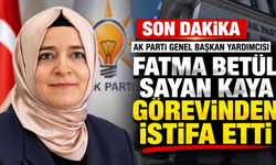 AK Parti Genel Başkan Yardımcısı Fatma Betül Sayan Kaya istifa etti