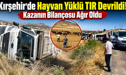 Kırşehir’de Hayvan Yüklü TIR Devrildi! Kazanın Bilançosu Ağır Oldu