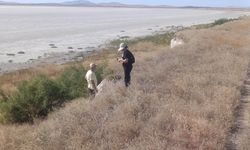 Kırşehir’de Endemik Türler İçin Arazi Çalışması