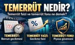 Temerrüt nedir, temerrüt faizi nasıl işler? Temerrüt fonu ne anlama geliyor?