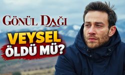 Gönül Dağı Veysel Öldü mü? Veysel Kaya Kimdir, Semih Ertürk Kimdir, Diziden Neden Ayrıldı?