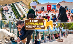 Kırşehir’de Öğrencilere Hayvan Sevgisi Aşılandı