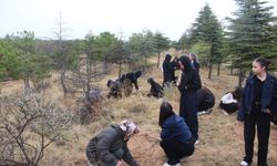 Kırşehir’de Kız Çocukları Geleceğe 100 Tohum Ekti