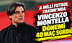 A Milli Futbol Takımı'nda Vincenzo Montella dönemi 40 maç sürdü