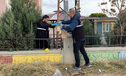 Elektrik Direğine Çıktı, Acı Sonla Karşılaştı!