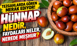 Tezgahlarda Gören Merak Ediyor! Hünnap Nedir? Faydaları Neler, Nerede Meşhur?