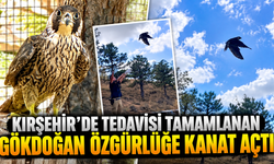 Kırşehir’de Tedavisi Tamamlanan Gökdoğan Özgürlüğe Kanat Açtı