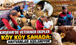 Kırşehir’de Hayvan Hastalıklarına Karşı Koruma Kalkanı: Aşılama Sürüyor