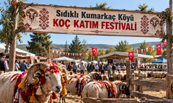 Kırşehir’de Koç Katım Festivali Heyecanı! Kınalı Koçlar Sahaya Çıkıyor