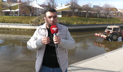 Yosun, Koku ve Güvercin Ölüleri Şikâyet Getirdi: Akarsu Temizlendi