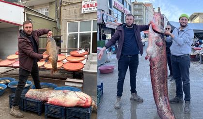 2 Metrelik Yayın Balığı Kırşehirli Vatandaşları Şoka Uğrattı!