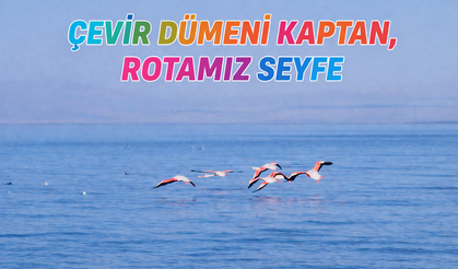 ÇEVİR DÜMENİ KAPTAN, ROTAMIZ SEYFE