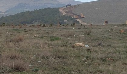 Kervansaray Dağları’nda ağaç kesimi iddiası tartışma yarattı