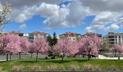 Kırşehir’de Doğa Uyandı, Kentpark Renk Cümbüşüne Döndü