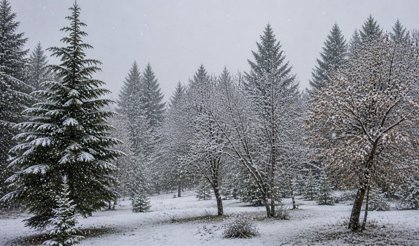 Kırşehir’de Mayıs Ayında Lapa Lapa Kar Yağdı