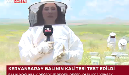 TRT Haber Ekranlarına Taşındı: Kervansaray Dağları'nın Şifalı Balı Türkiye'nin Gündeminde