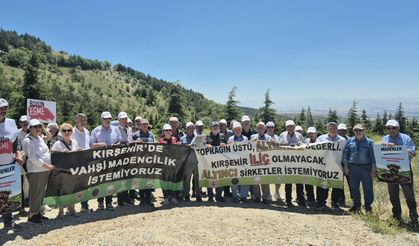 Kırşehir'de Altın Madeni Davasında Kritik Gün: Hakim ve Bilirkişiler Sahadaydı
