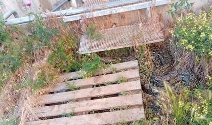 Özbağ'da Korkutan Görüntü: Vatandaşlar tedirgin