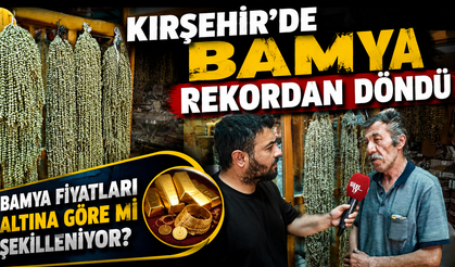 Kırşehir'de Bamya Rekordan Döndü