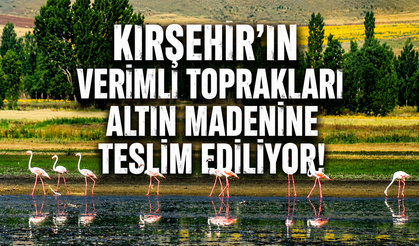 Kırşehir'de Altın Uğruna 1262 Hektarlık Doğa ve Tarım Alanı Yok Edilecek