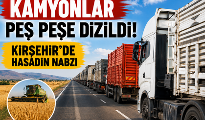Kamyonlar Peş Peşe Dizildi! Kırşehir'de Hasadın Nabzı Kuruağıl'da Atıyor