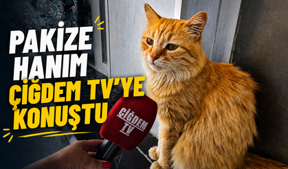 Pakize Hanım’dan Kırşehirlilere Yaz Çağrısı