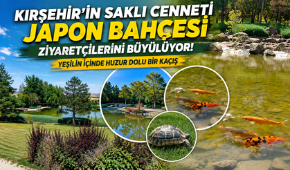 Kırşehir’in Saklı Cenneti Japon Bahçesi Ziyaretçilerini Büyülüyor! Yeşilin İçinde Huzur Dolu Bir Kaçış
