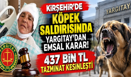 Kırşehir’de Köpek Saldırısında Yargıtay’dan Emsal Karar! 437 Bin TL Tazminat Kesinleşti