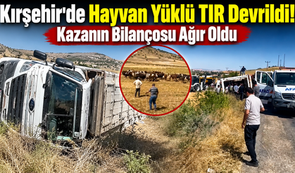 Kırşehir’de Hayvan Yüklü TIR Devrildi! Kazanın Bilançosu Ağır Oldu