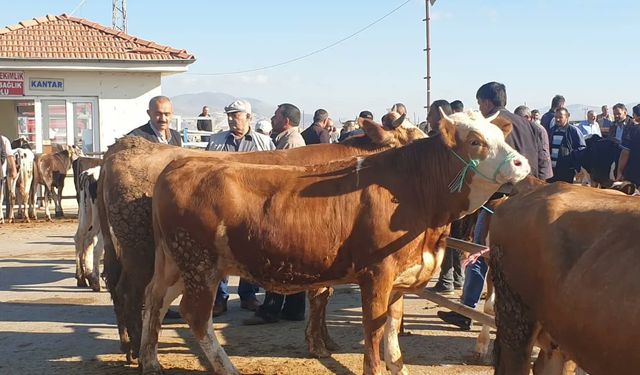 Kırşehir’de vatandaş kurbanlık derdinde!