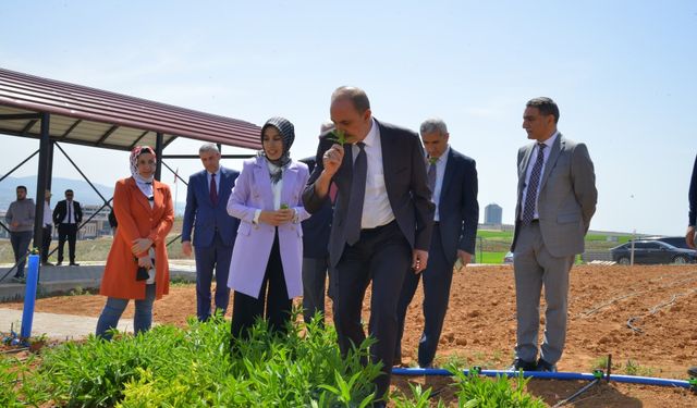 KAEÜ’de Tıbbi ve Aromatik Bitkiler Uygulama ve Araştırma alanı açıldı