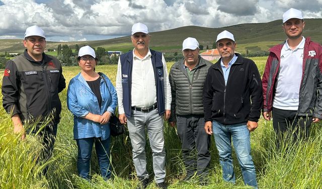 İlçe Tarım Müdürlüklerinin saha çalışmaları sürüyor   