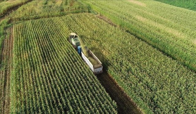 Tarım ÜFE mayısta aylık bazda  yüzde 2,14, yıllık yüzde 50,79 arttı